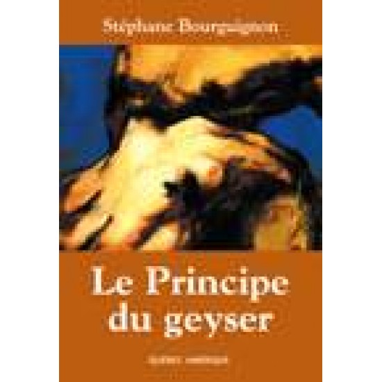 Le Principe du geyser De Stephane Bourguignon